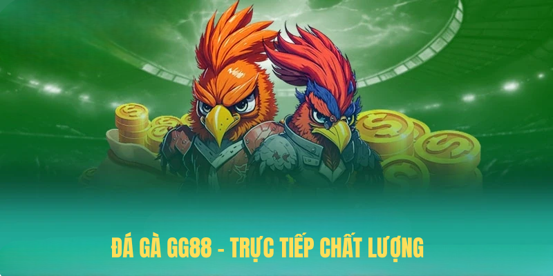 Đá Gà GG88 – Trực Tiếp Chất Lượng, Cá Cược Chọi Kê Thả Ga